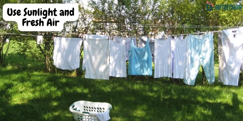 How to wash toxins out of clothes by using sunlight and fresh air