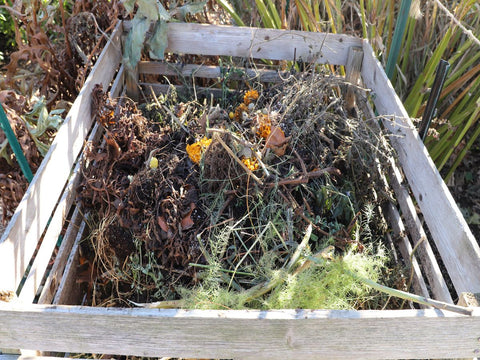 step-by-step guide in your raised garden bed