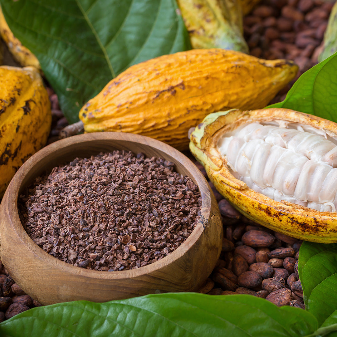 Cacao Nibs