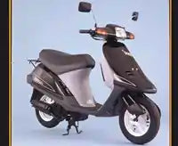  Shop All Honda Scooter Manuals