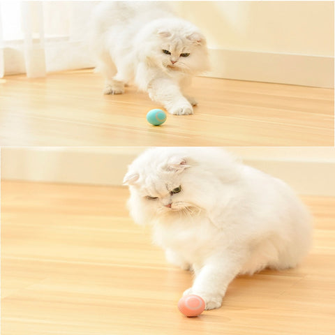 brinquedo interativo para gatos, bola para gatos, brinquedo de bola gatos, bola de rolamento para gatos, brinquedo inteligente para gatos, mundomiauauau, miauauau