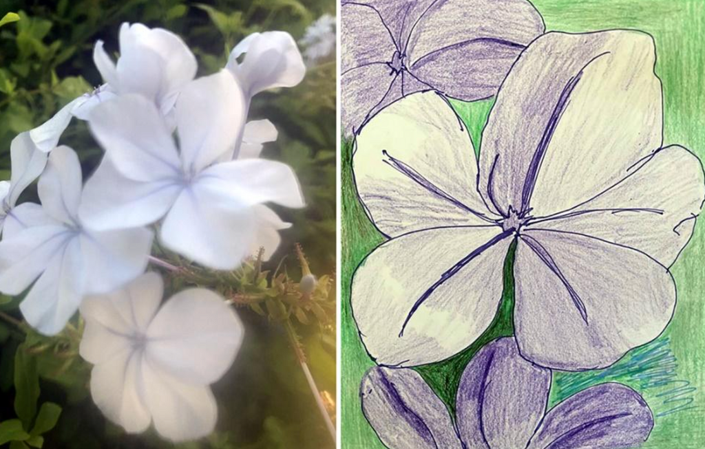 Artist Robbie Jean took inspiration from her backyard, where there is a bush of lovely purple flowers.