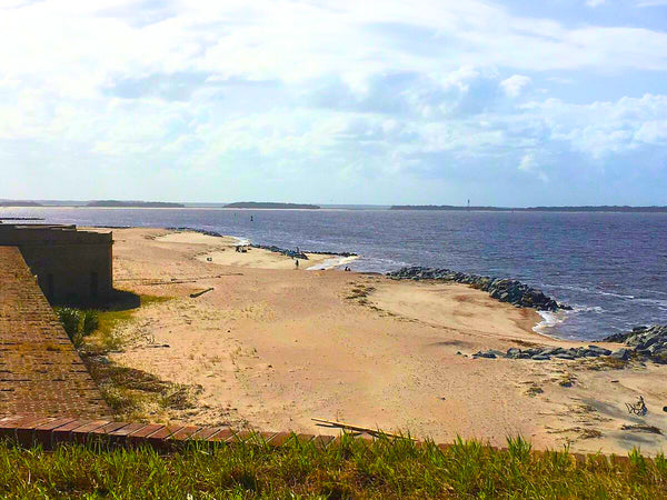 Fort Clinch State Park, FL Shark Tooth Hunting