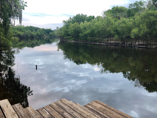 Peace River, Florida Shark Tooth Hunting