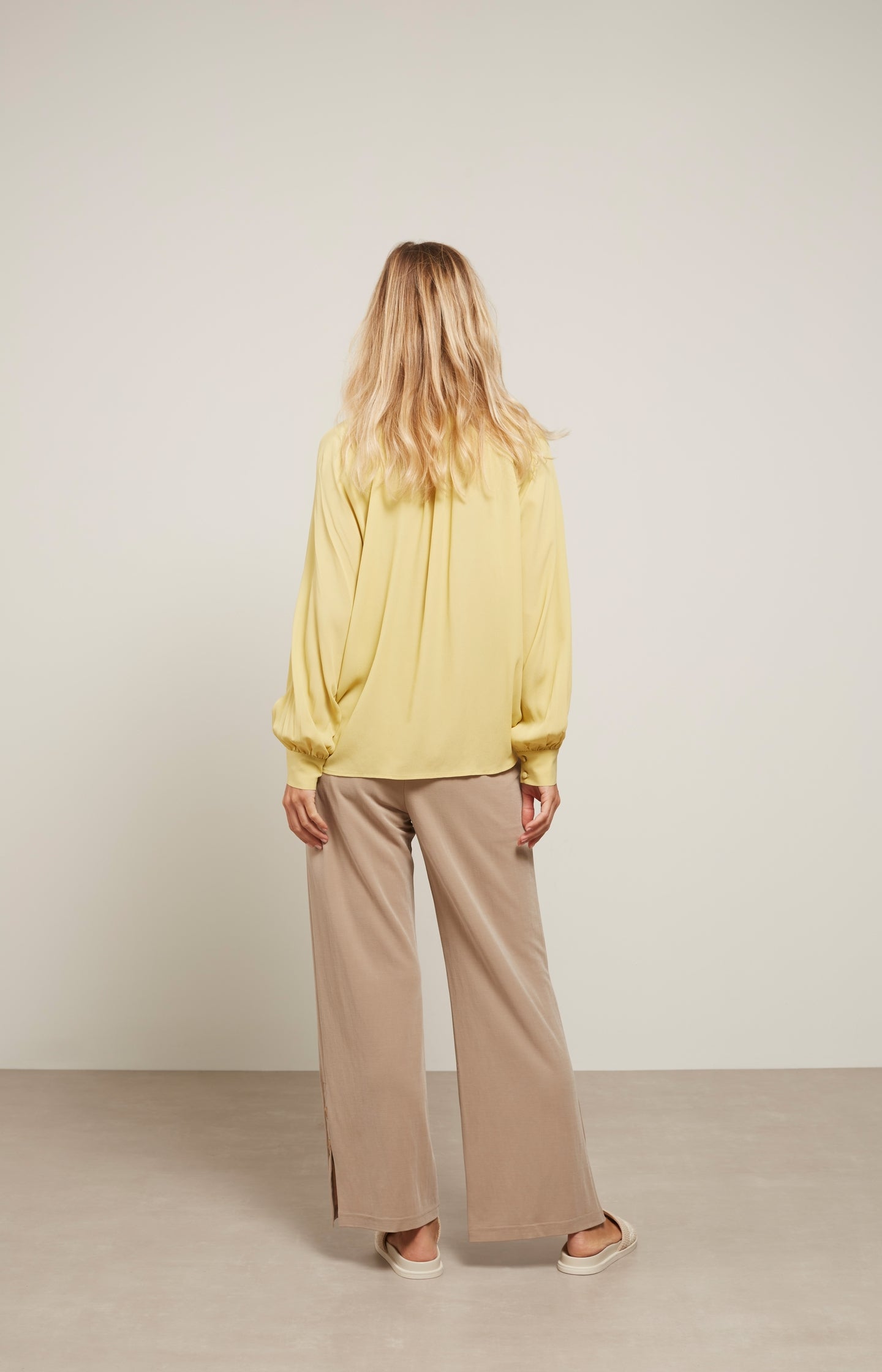 Top with V-neck, long balloon sleeves and pleated details