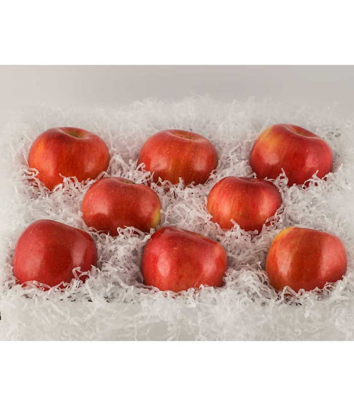 Sugarbee Apples - 2lb Bag