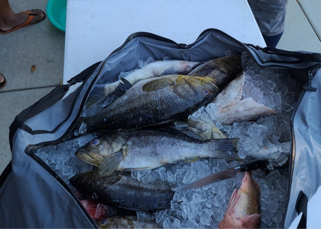 Shop Online Buffalo Insulated Waterproof Fish Cooler Kill Bag (Size: S)  120x30x50cm - Marine Hub