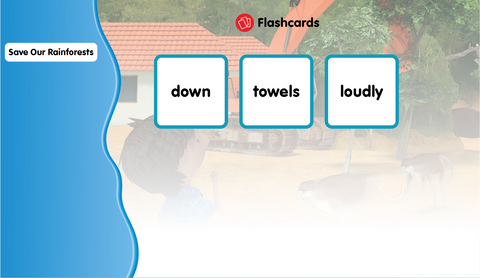 First Steps from Phonics to Reading - Flashcards