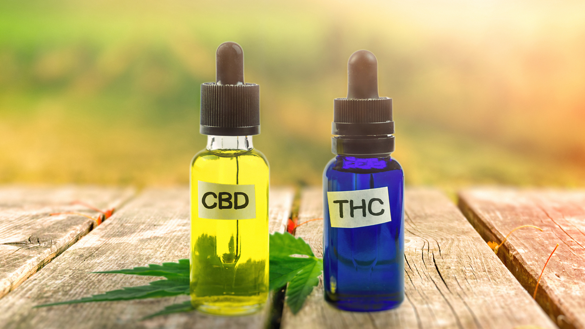 CBD vs THC: Understanding the Key Differences