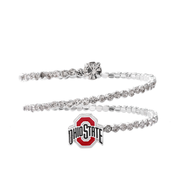 Ohio State Buckeye Metal Slim Koolie - OSU Sports Fans