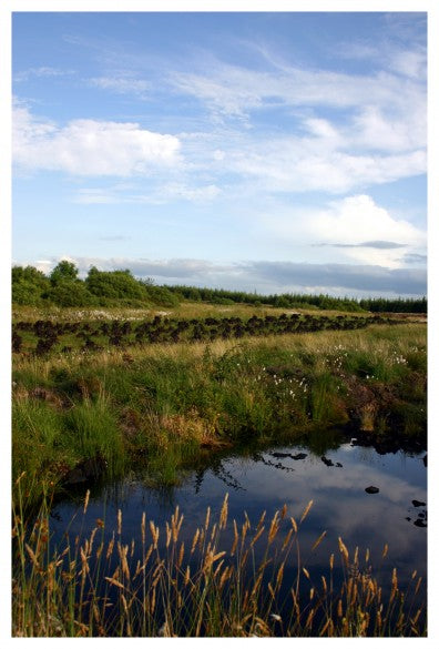 irish bog