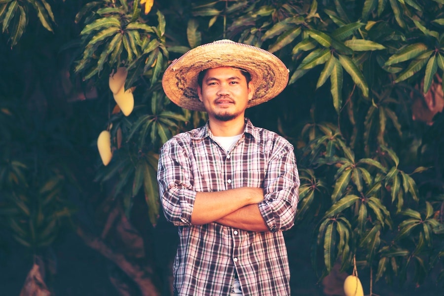 Chapeau de Paille Jardinier