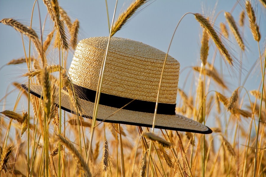 Chapeau de Paille Blé