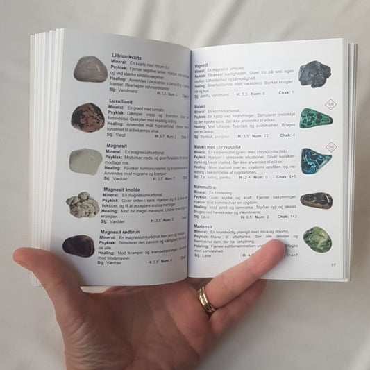 Bog - Stenguidens guide til sten