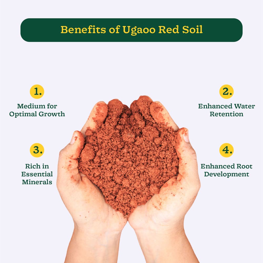 Garden Red Soil - Image 3