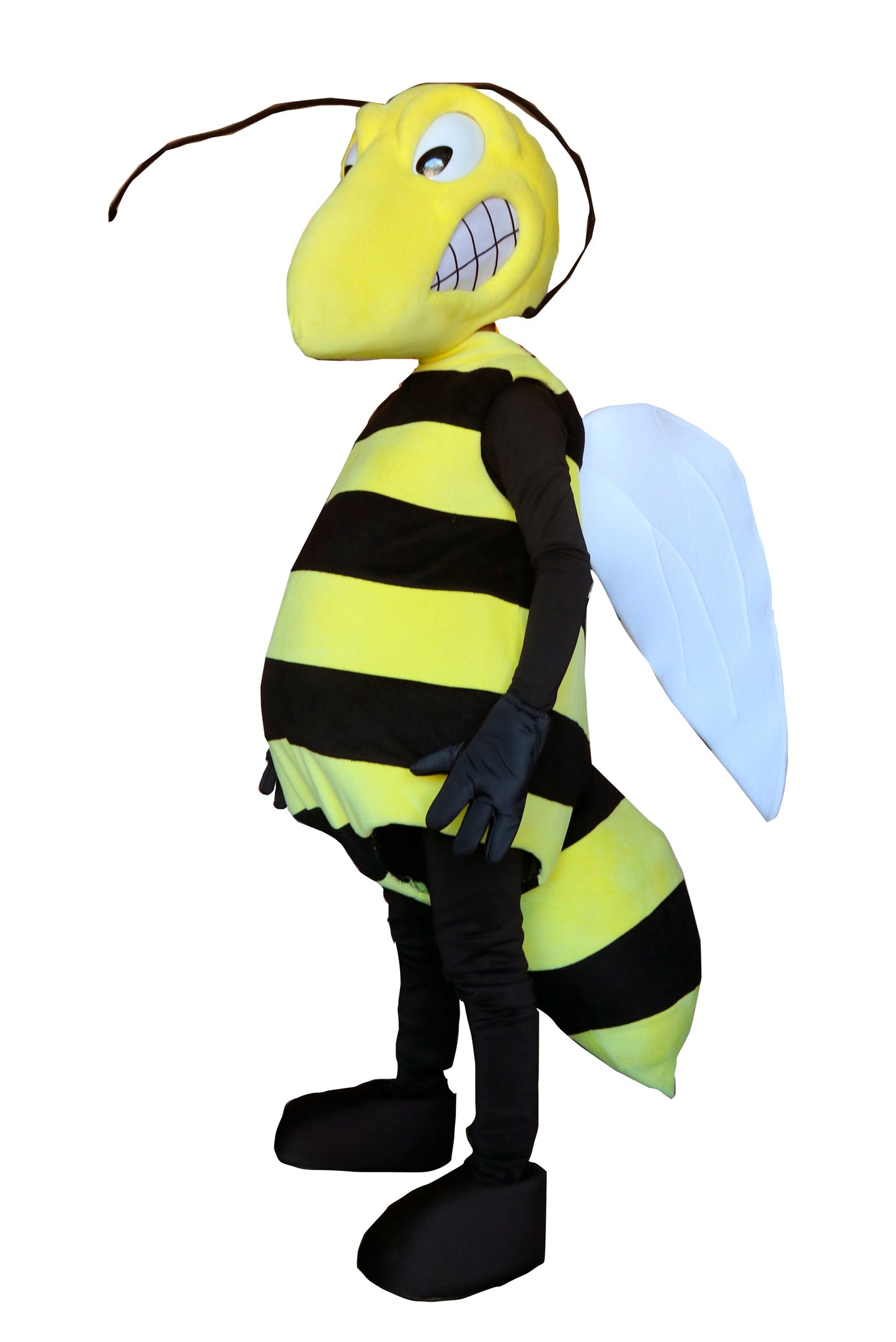lebah D01