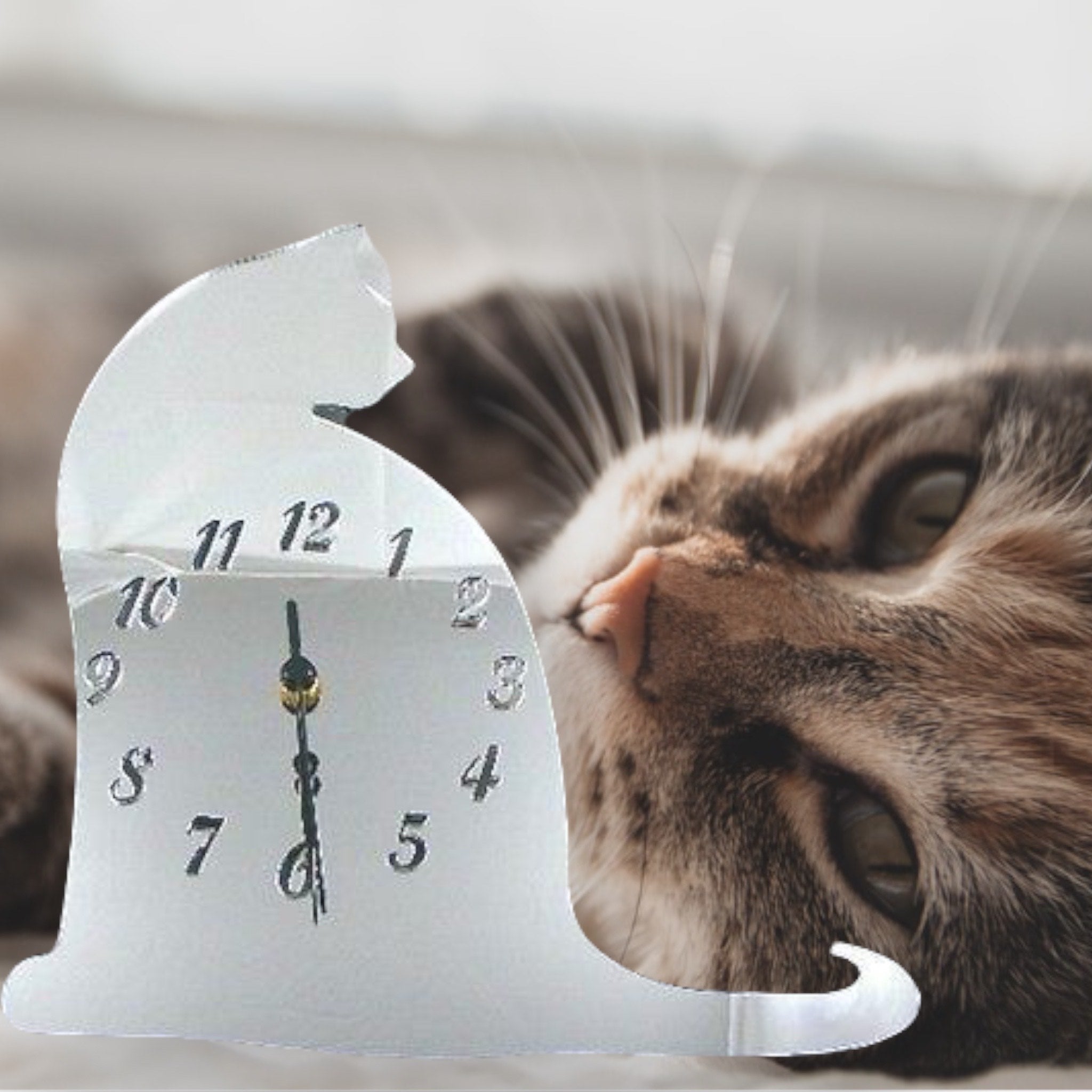 Cat Shaped Clocks - Many Colour Choices