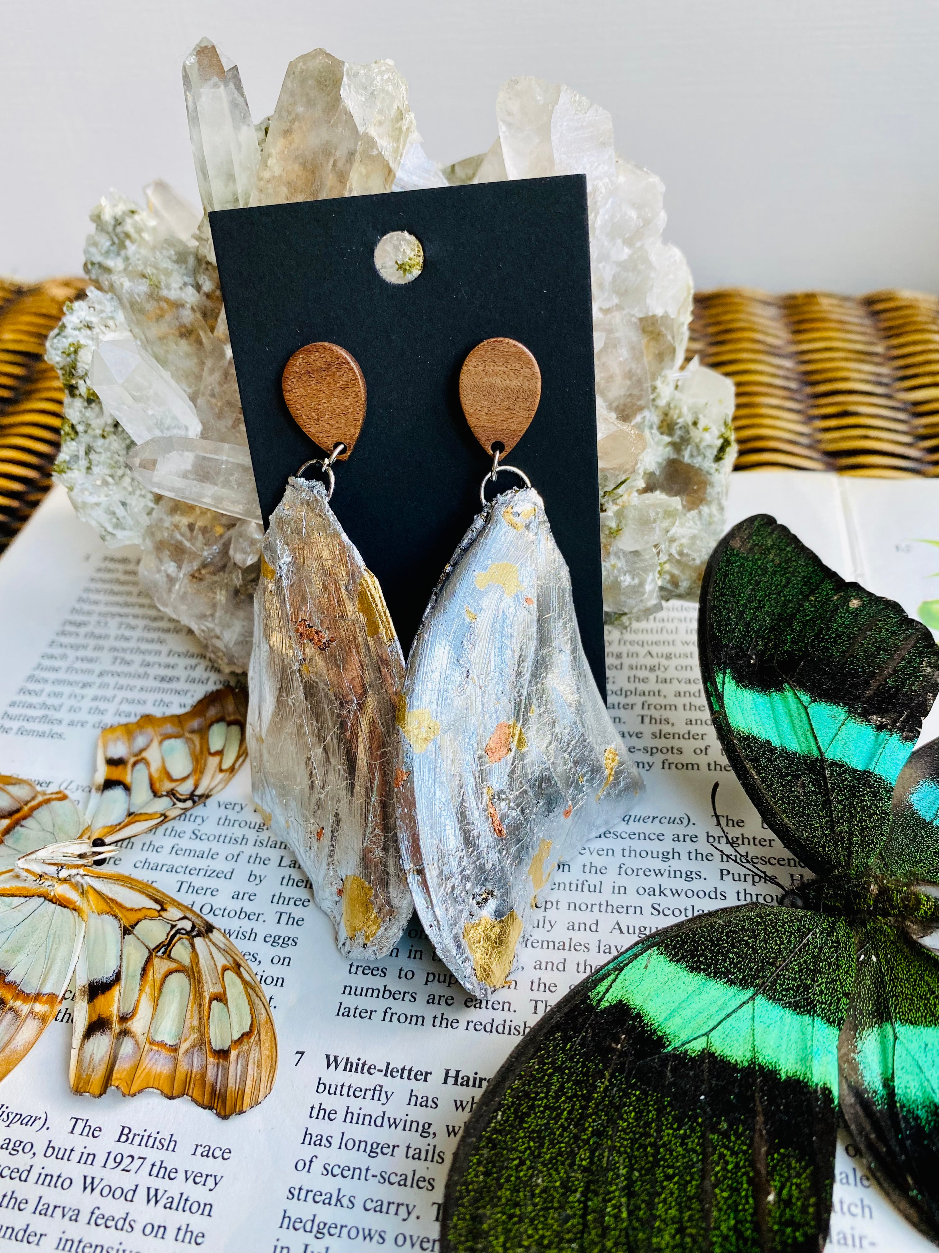 Buy Mint Swallowtail Butterfly Earrings, Real Butterfly Wing Earrings  Online in India - Etsy