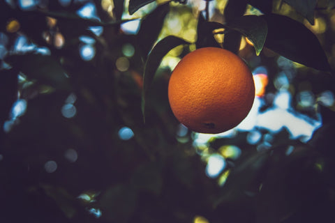 usos y propiedades aceite esencial de naranja