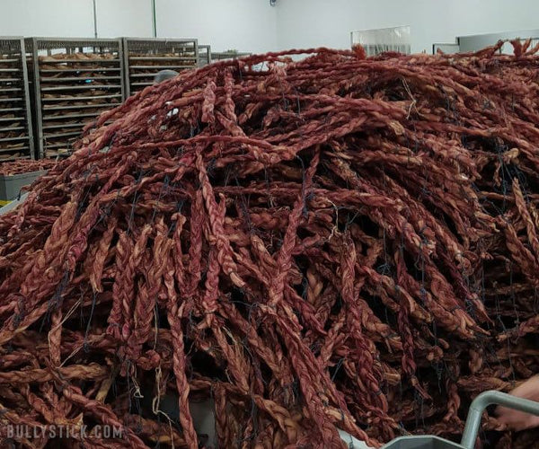 Braided Bully Sticks Bunch