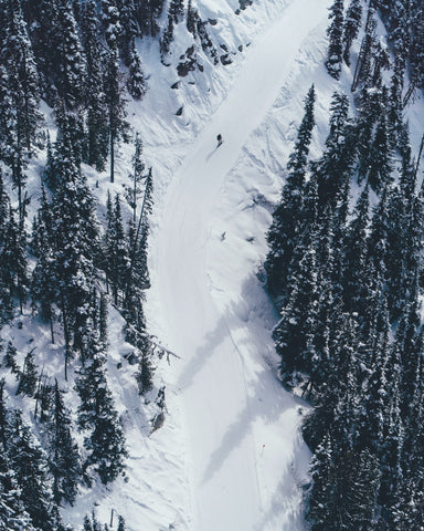 ski tracks