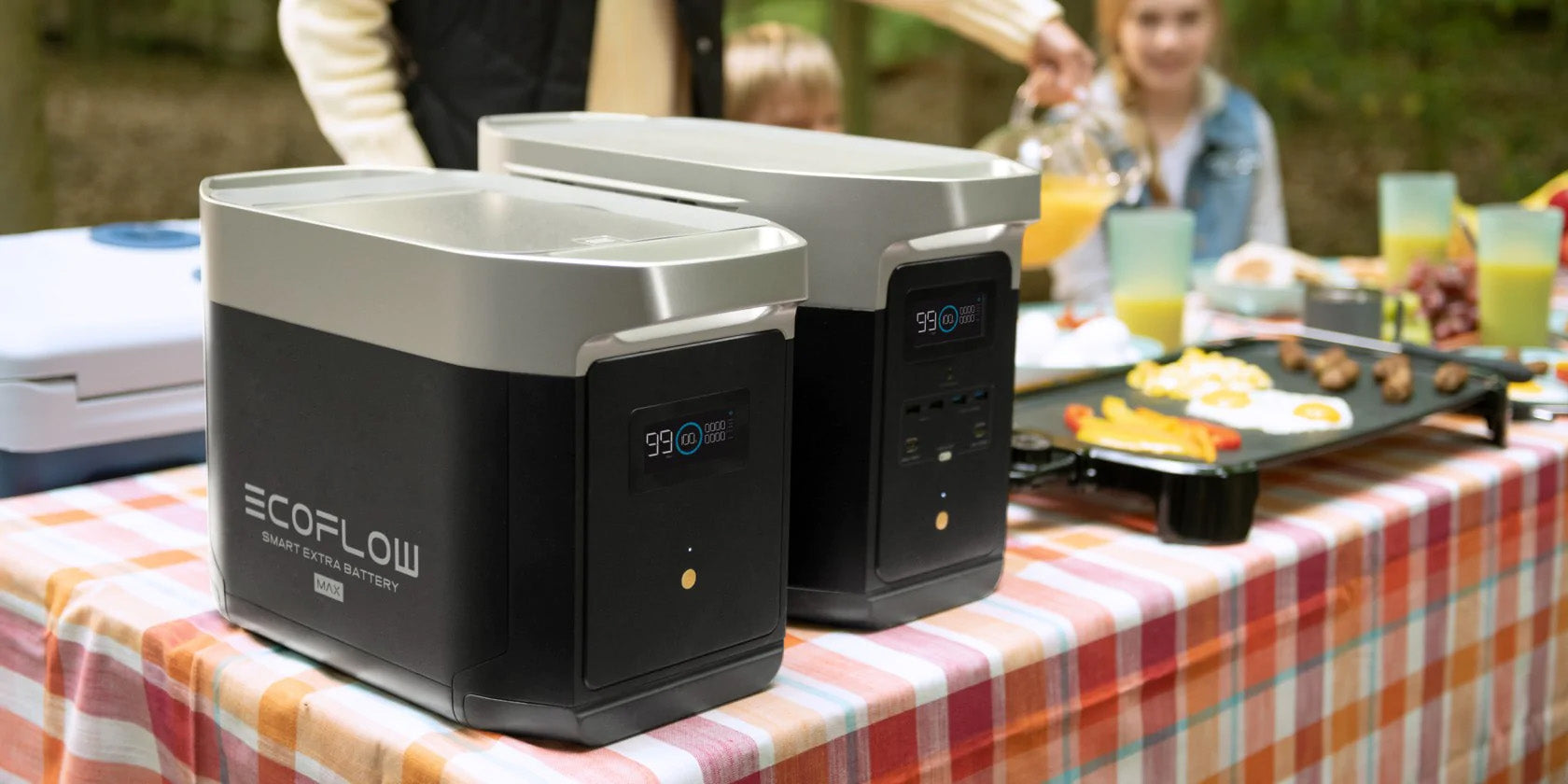 EcoFlow DELTA Max Portable Power Station Powering a Picnic