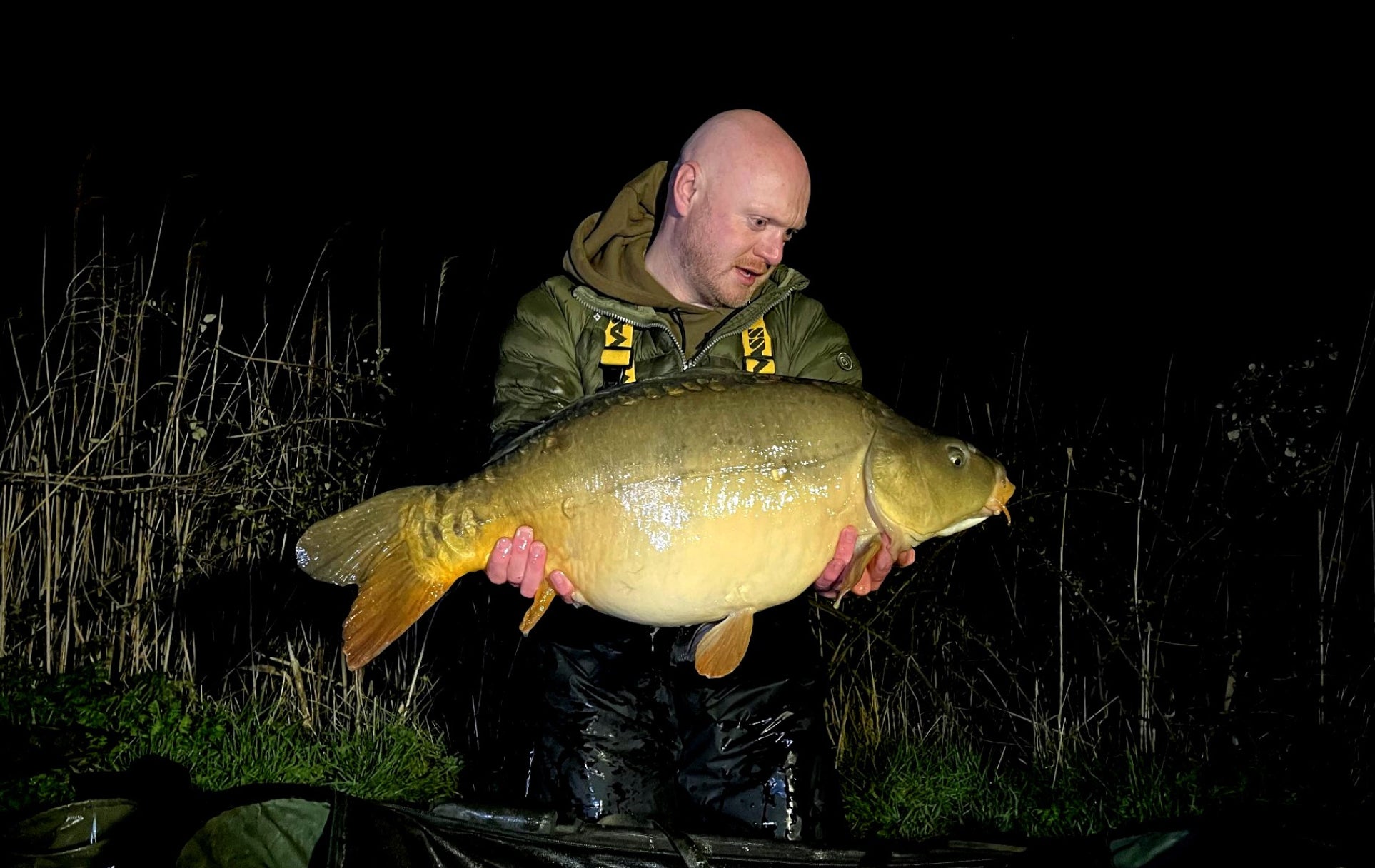 Premium carp fishing - abbey lake Cambridgeshire