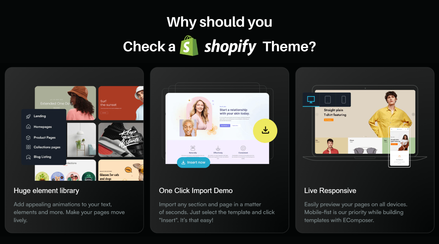 What’s the point of Checking Shopify Themes of any store?