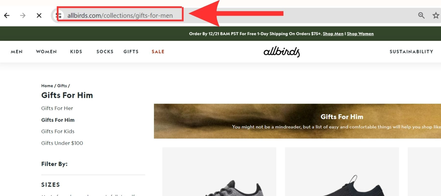 Allbirds's Collection Pages URL Structure