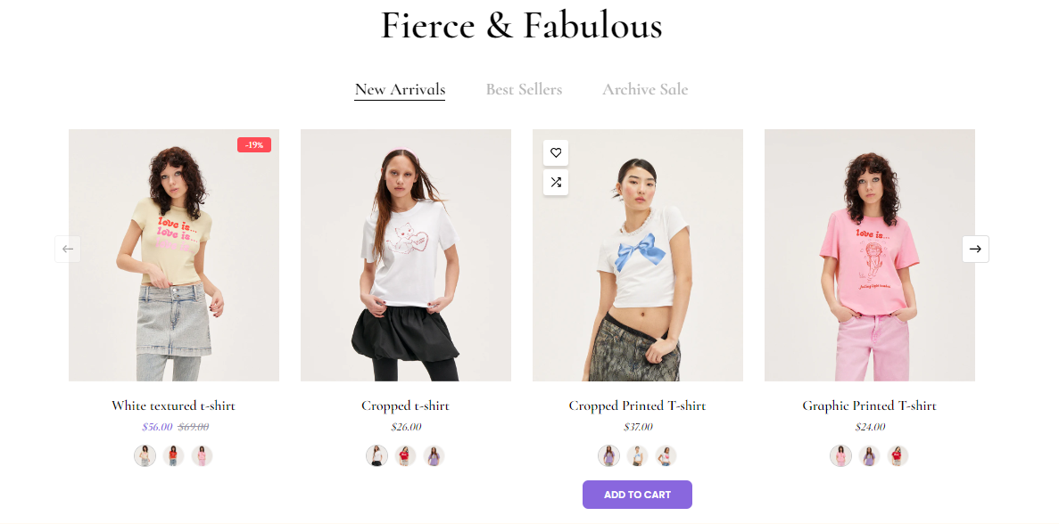 successful Shopify T-shirt Stores