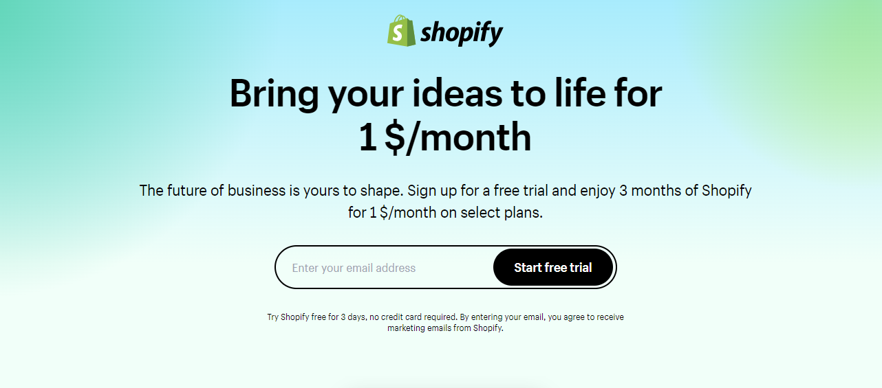 Shopify online business