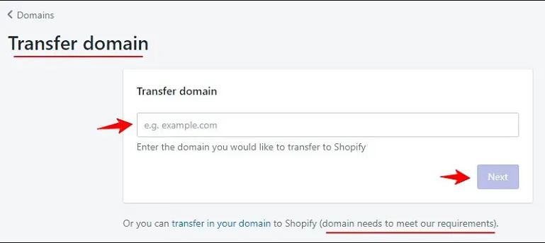 Shopify Nameservers