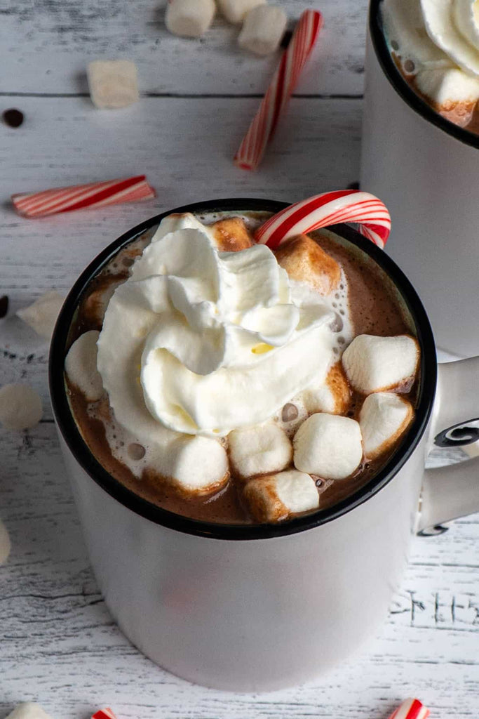 Slow Cooker Hot  Chocolate in a Mug with a candy cane
