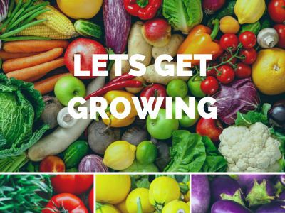 lets get growing vegetables