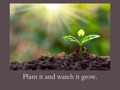 plant vegetables and watch them grow