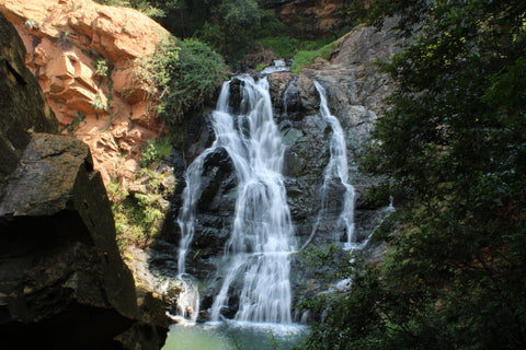 waterfall in a forrest