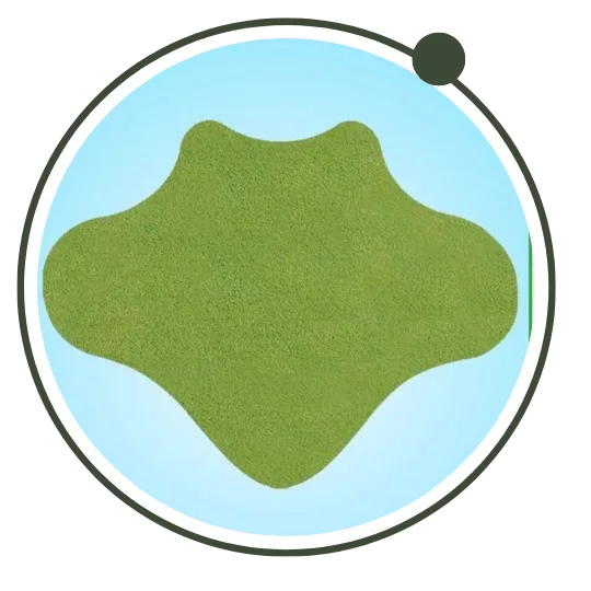 127.webp__PID:a0121a6f-45c2-4b02-a375-04e0c3454ddc
