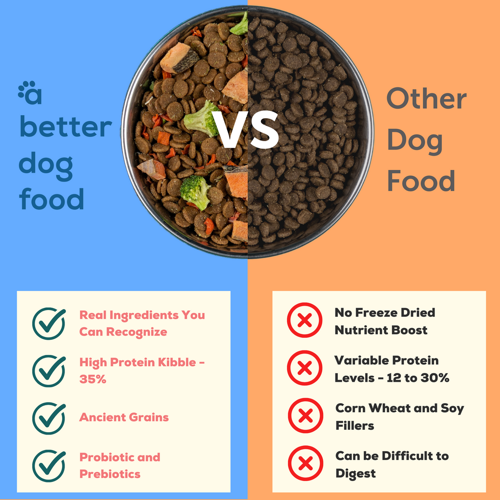 what is the best high protein dog food