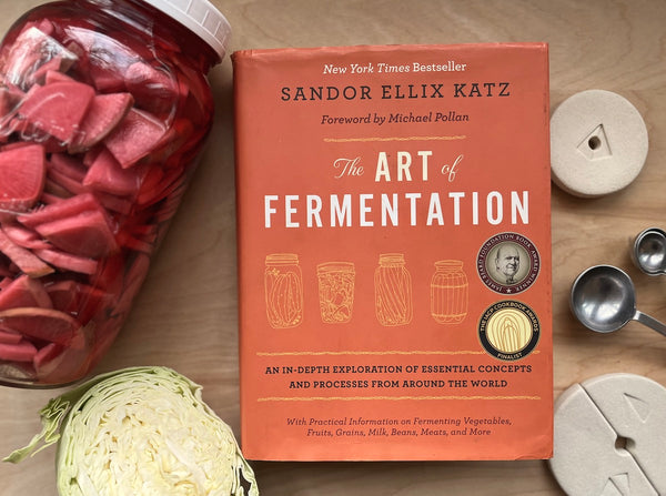 The Art of Fermentation book 