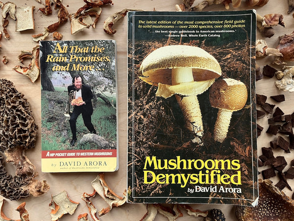 Mushroom Foraging Books by David Aurora