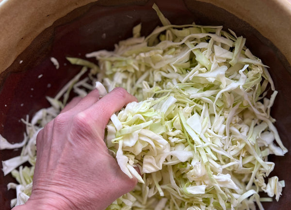 Preparing homemade sauerkraut