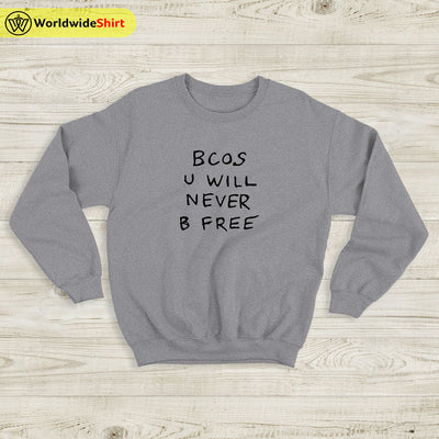 Bcos U WIll Never B Free Sweatshirt Rex Orange County Shirt ROC