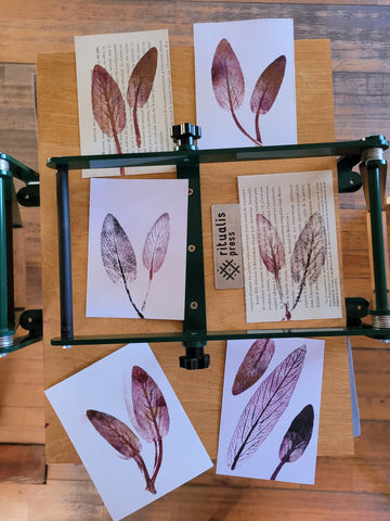 ein Tisch mit Linolschnittpresse mit gedruckten Bildern von Blättern darauf