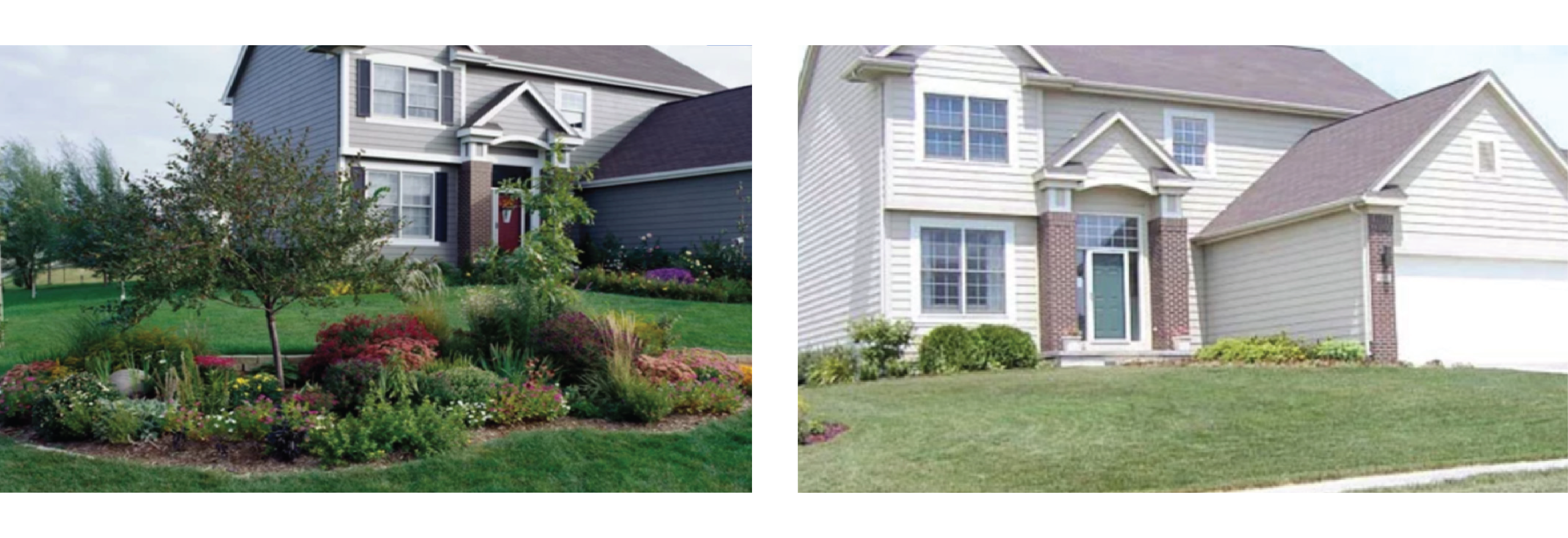 Home Before and After Landscaping