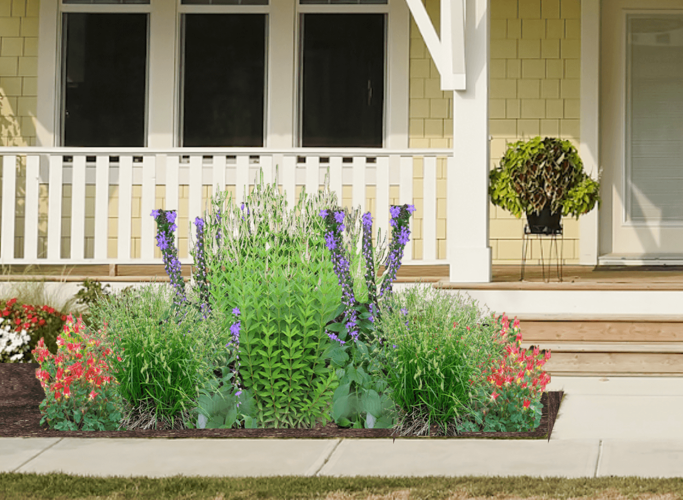 A garden of red and blue native flowers and grasses in front of a yellow house
