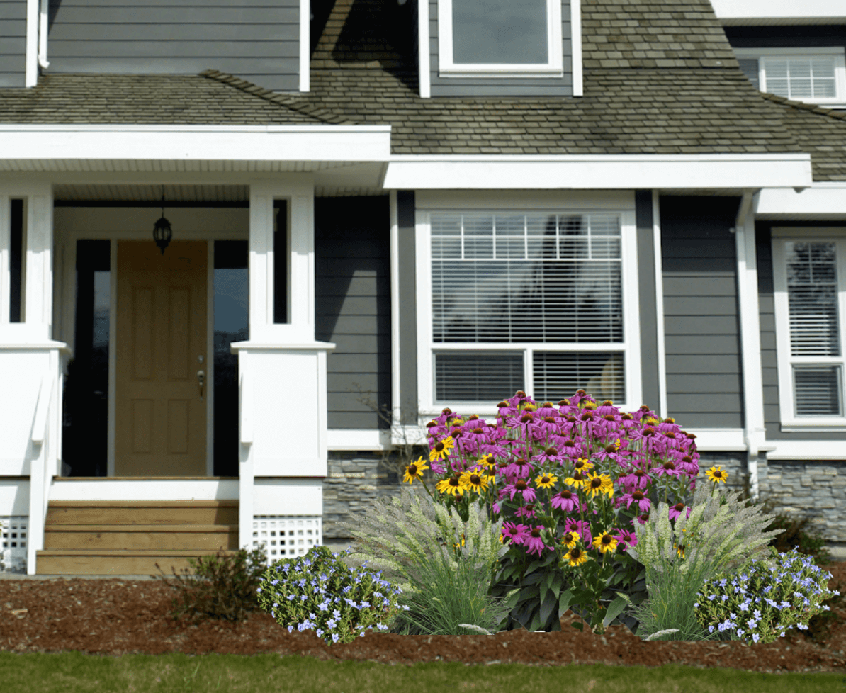 A multicolored garden of native flowers and grasses in front of a gray house