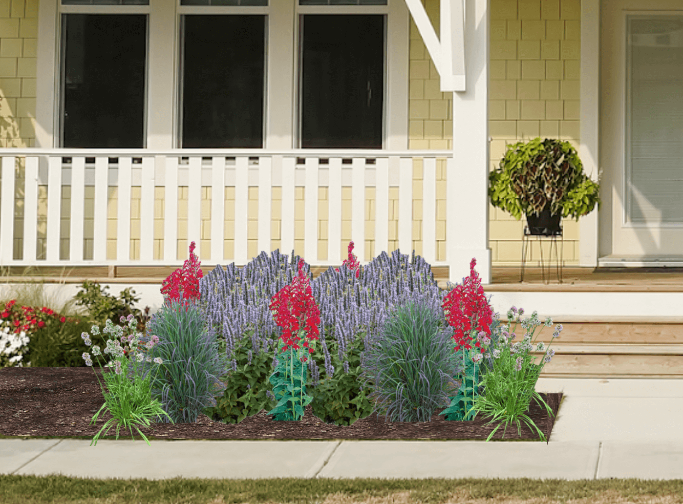 Red and lavender native plant garden in front of yellow house