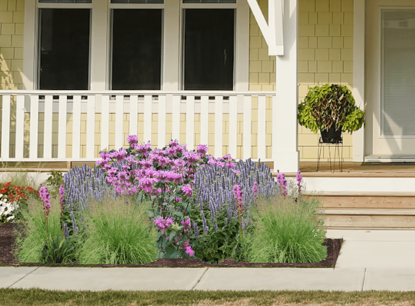 Pink and lavender native plant garden in front of yellow house