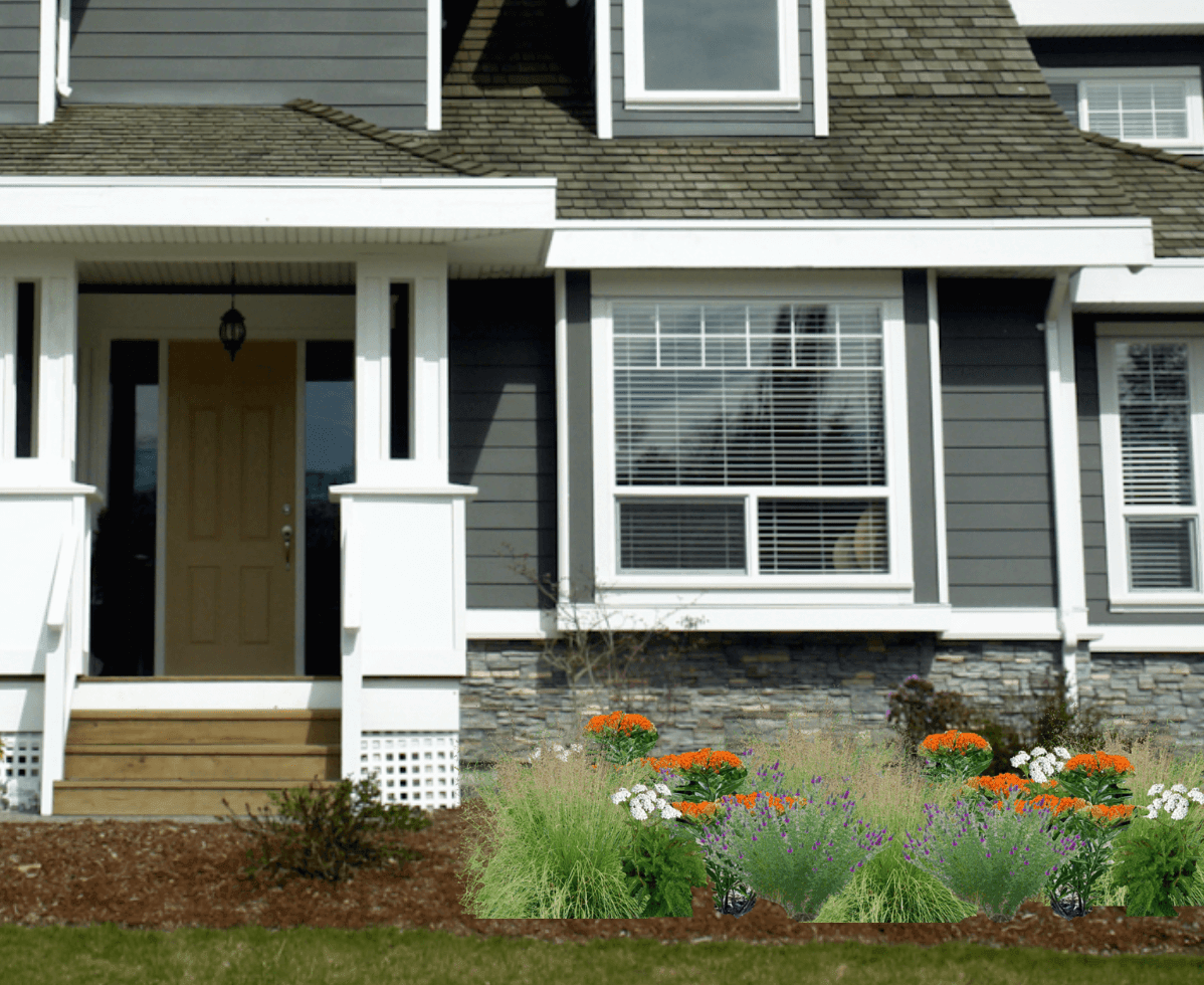 Orange and purple native plant garden in front of gray house