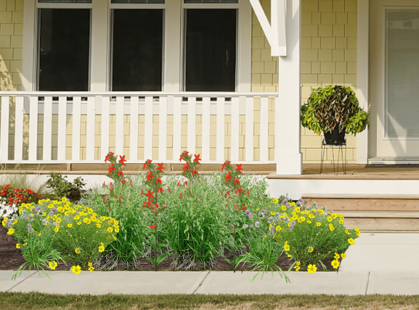 Red and yellow native plant garden in front of yellow house